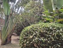 Kigali Unfurnished house available for rent in Kimihurura  - Image 2