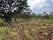 Kigali prime 8,600 sqm plot for sale in the prestigious Rebero  - Image 3