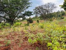 Kigali prime 8,600 sqm plot for sale in the prestigious Rebero  - Image 4