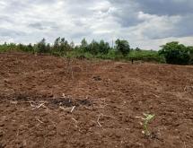 big land for sale in Rwamagana  - Image 3