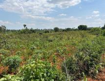 Kigali plot for sale in Bugesera Nyamata