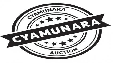 Itegeko rishya riraha ijambo nyir'umutungo n'uteza cyamunara mucyamunara
