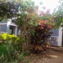 A nice house for rent in Kicukiro 