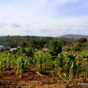Plot of land for sale in Kigali - Kinyinya