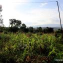 Plot of land for sale in Kigali - Kinyinya