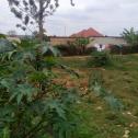 A nice plot for sale in Kanombe 