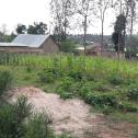 Plot for sale located in Bugesera Nyamata 