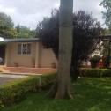 A gorgeous fully furnished home for rent in Kiyovu