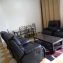 Nyarutarama furnished apartment for rent 