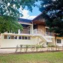 A nice house for rent in Kimihurura