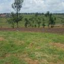 4 hectares of land for sale on a paved road in Nyarutarama 