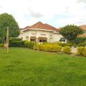 House for rent in Niboye 