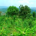 A land for sale in Gahanga-Kicukiro 