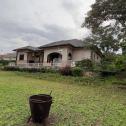 House For Sale in Nyarutarama 