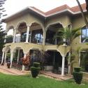 Kigali incredible mension for Rent in Gacuriro 