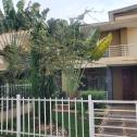 Vision City fully furnished house for rent 