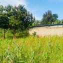Karembure beautiful land for sale in Kigali