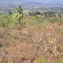 Bumbogo plot for sale in Kigali