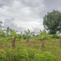 Kigali Plot of land for sale in Gahanga near the Cricket stadium
