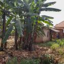 Kigali Fenced plot of land for sale in Busanza