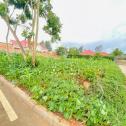 Kigali nice plot for sale at Kagarama