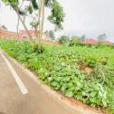 Kigali Nice plot for sale in Kagarama Muyange.