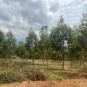 Kigali nice plot for sale in Rebero.
