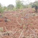Plot for sale at Bugesera, near main road from International Airport