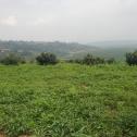 Kigali Beautiful plot for sale in Kagarama Muyange