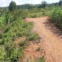 Plot for sale at Bugesera, near International Airport 600m from airport