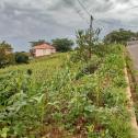 Kibagabaga nice land for sale in Kigali