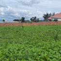 Nyarutarama center land for sale in Kigali