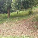 Kigali Land for sale in Gahanga 