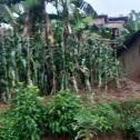Kigali Plot for sale in Rebero Rwanda