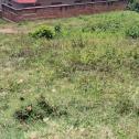 Kigali Plot for sale in Ndera