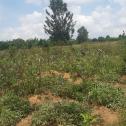  Ntarama Land for sale in Bugesera