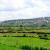 Farm Land for Sale in  RWANDA - BUGESERA