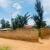 Plot for sale with house in Kanombe