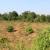 Residential Plot for sale in Bugesera near airport Hot deal Juru